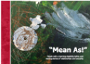 Mean As! Working Group Report Thumbnail