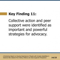 Key Finding 11:  Collective action and peer support were identified as important and powerful strategies for advocacy.  A Monitoring Report on Housing Experiences of People with Complex disabilities in Aotearoa New Zealand from Family, Whānau and Close Supporter Perspective 14/23
